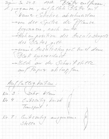Stephanie Kratz :: 3D :: Ficus Benjaminus:: Notes 2/15