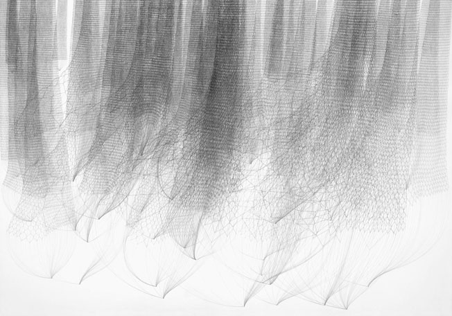 Stephanie Kratz :: Drawing :: Sequence 1, 2/5