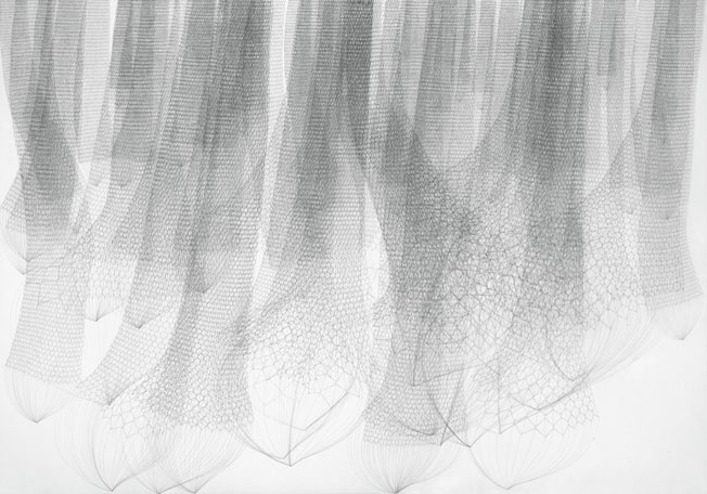 Stephanie Kratz :: Drawing :: Sequence 1, 4/5